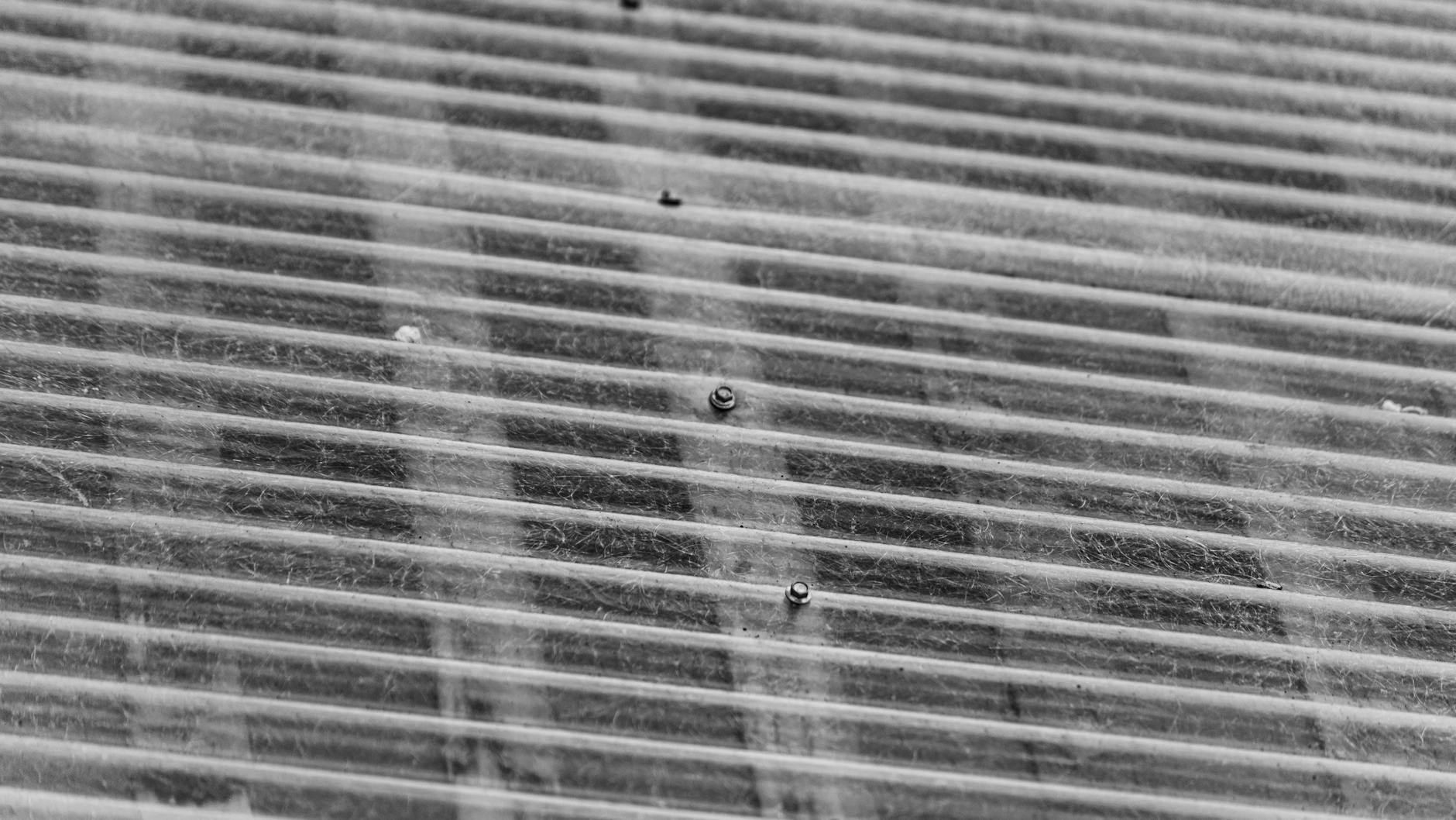 Prognozy na mecz Górnik Zabrze – Raków Częstochowa